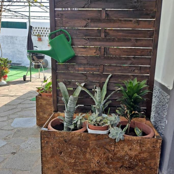 Chale Funchal - City View מראה חיצוני תמונה