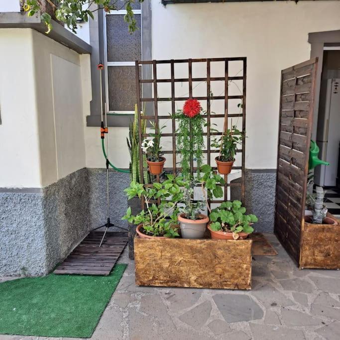 Chale Funchal - City View מראה חיצוני תמונה